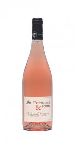 Fernand-and-Sons-Rose-1